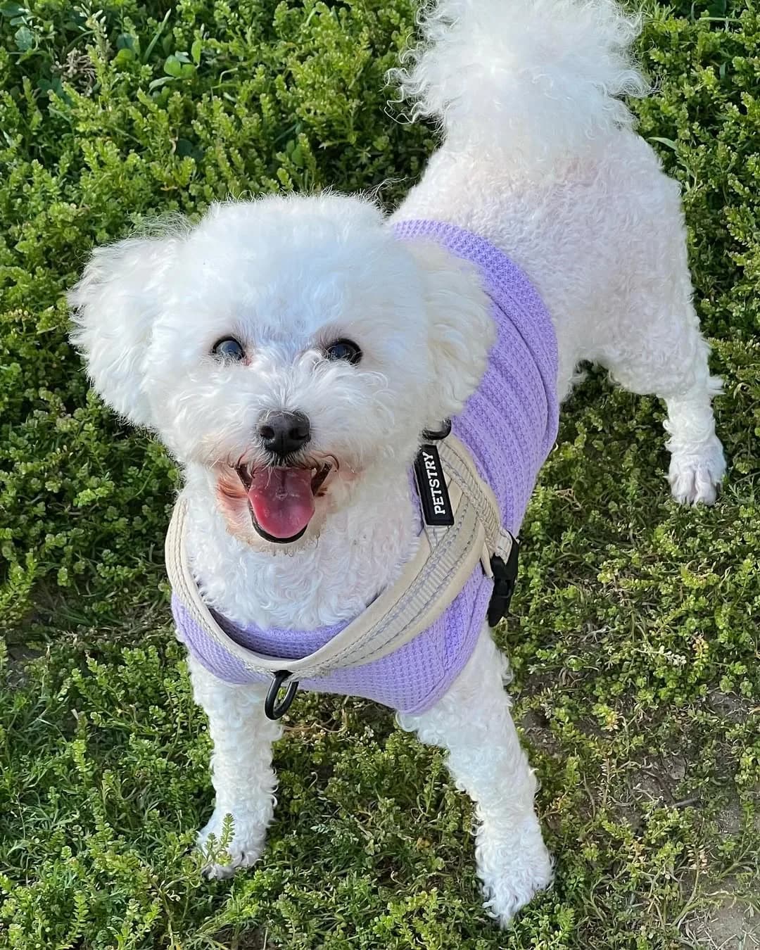 From Mischief to Masterpiece