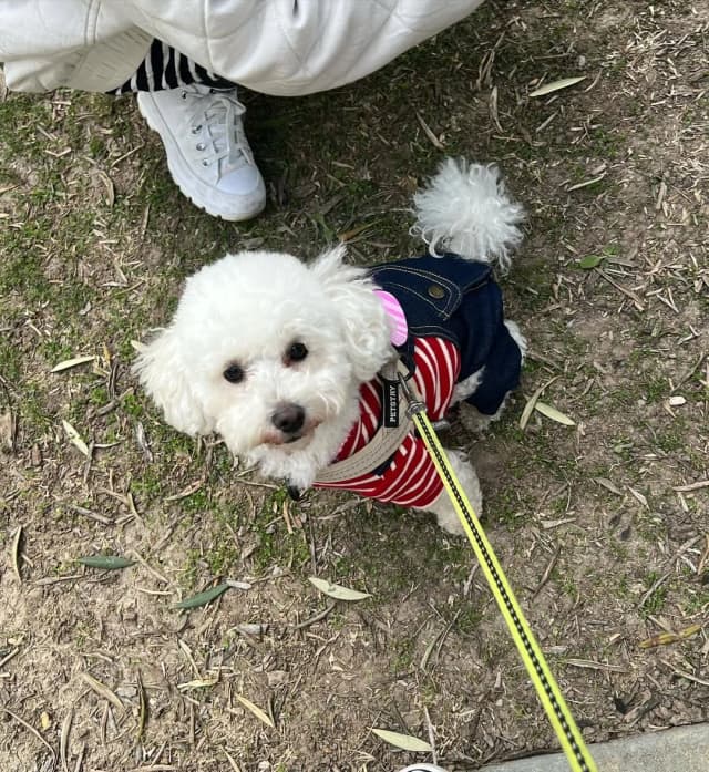 햅삐 발렌타인 데이 💗
톨이 Valentine’s Pawty 다녀왔톨🐾

#신나게놀고 #집와서 #기절